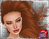 [LD]Bing♣Ginger