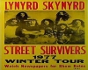 Lynyrd Skynyrd poster
