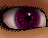 Colorful Fuchsia Eyes