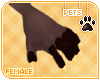 [Pets] Theo | claws