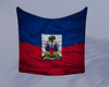 *P* Haitian Flag