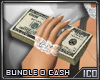 ICO Bundle o Cash F