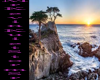 Monterey Bay Cypress