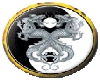 yin/yang dragon button