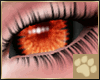 ~AM~ Lahar Eyes v2