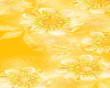 Sunflower Fit