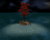 Night Lake [MB]