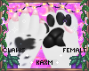 ꨄBlossom Clawsꨄ