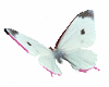 White /Pink Butterflies