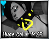 D~Huge Collar:Yellow(M/F