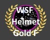 wsf Helmet gold F