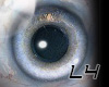 [L4]Aqua Shiny Eyes