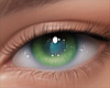 Soft Green Eyes