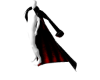 animated coat