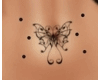pierc tattoo buterfly