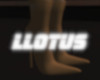 LL.DULCEBOOT