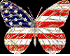 USA FLIPPON FLAG