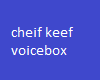 CHEIF KEEF Voicebox