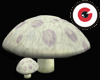 Forgotten Mushroom