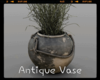 *Antique Vase