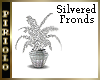 Silvered Fronds