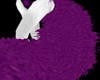 *KY* Ky's Purple Tail