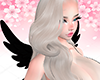 Cupid Wings Black