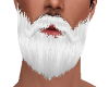 Beard Santa Claus