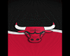 Camisa bulls