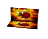 fire gold rose backdrop