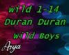 Duran Duran Wild Boys