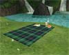 Tartan picnic rug