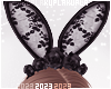 $K Lace Bunny Ears
