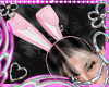𓆰𓆪 Bunny Ears