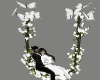 White Roses Swing