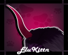 NitMre::HornV2