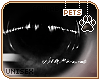 [Pets] Phar | eyes v2