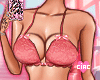 lingerie prego v2 e