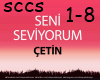 6v3| Mehmet Cetin 1/2