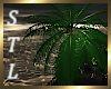 Goddess Anim. Palm Tree
