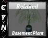 Relaxed Basement Plant