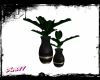 § Luxor Duo Plants §