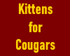 Kittens for Cougars 2.0