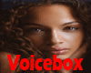 VB Ghetto VoiceBox