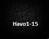 Havoc Remix