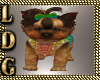 Baby Star Yorkice Pet