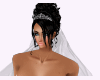 lucia's wedding veil