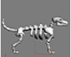 (RR) Esqueleto cão M