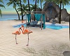 ASL Flamingo Bay