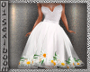 D0(X)spring white 25
